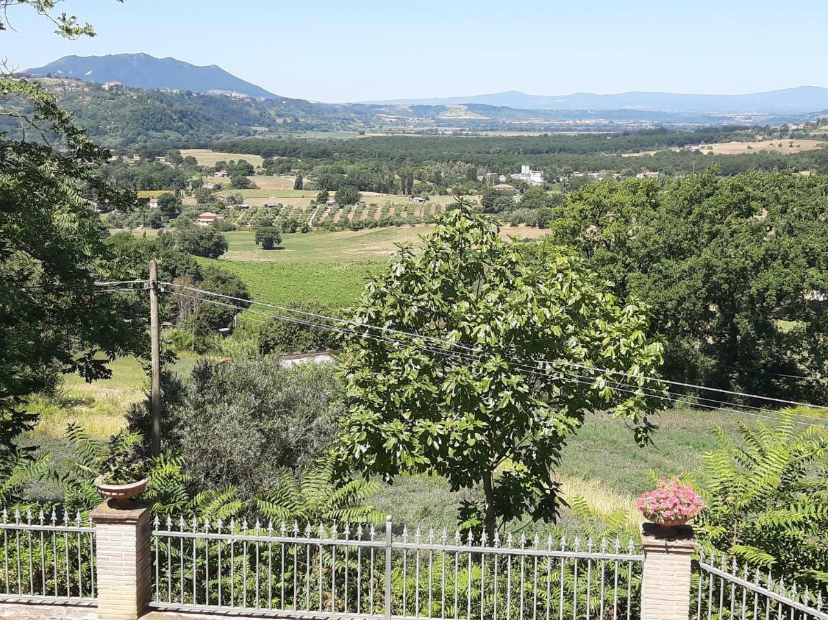 Villa Pacchini Poggio Mirteto 外观 照片