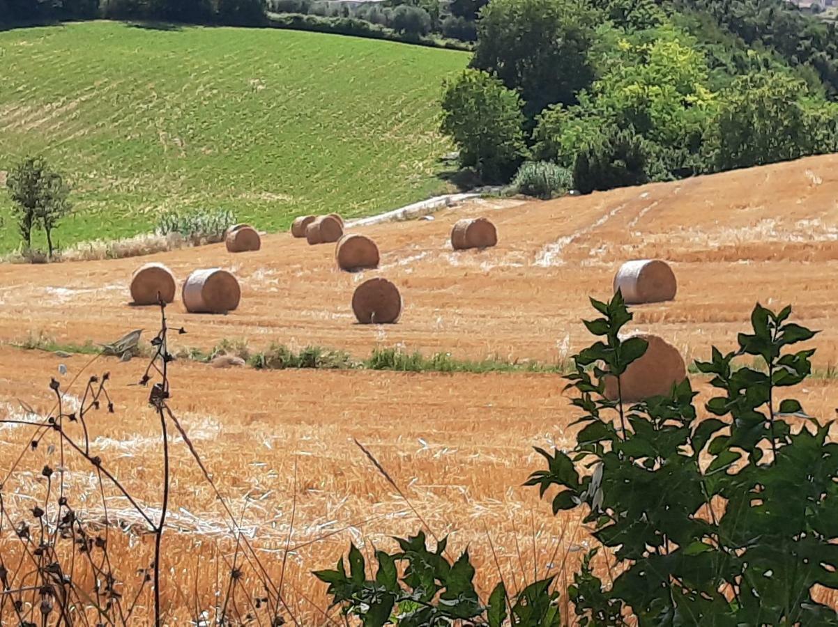 Villa Pacchini Poggio Mirteto 外观 照片